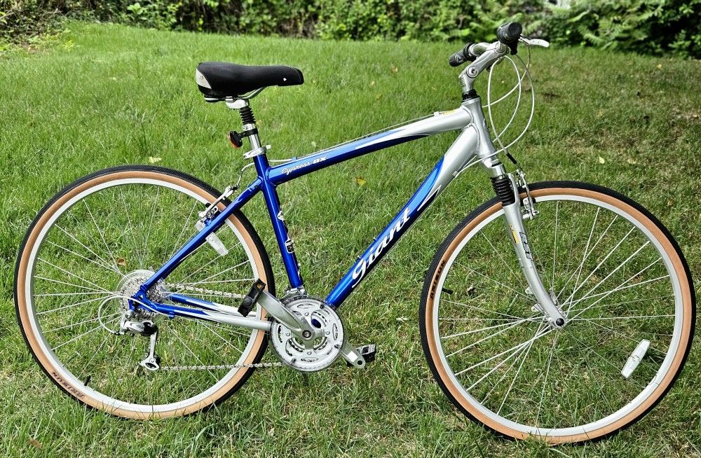 Giant Cypress DX - Large 19inch frame