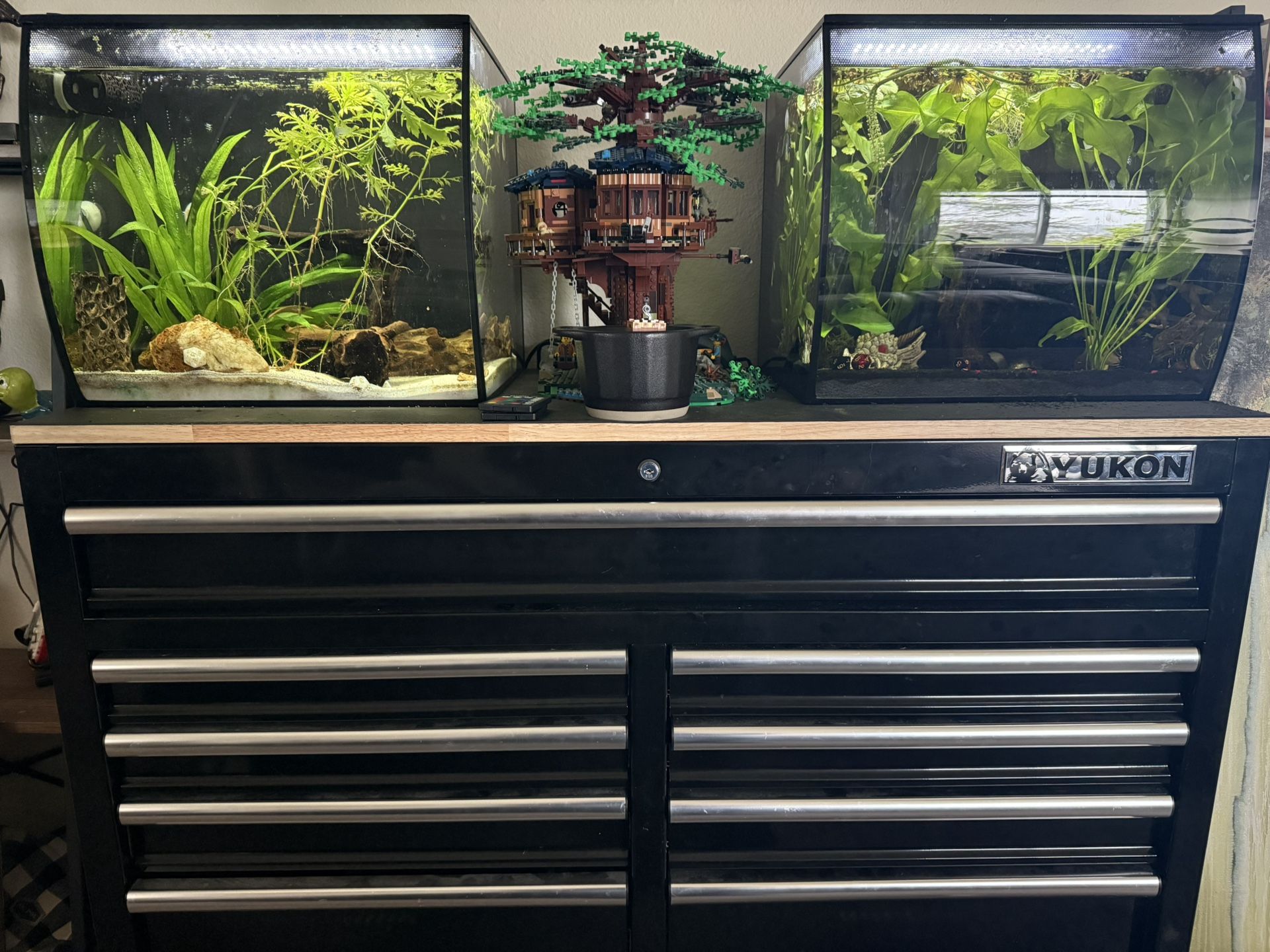 Two Fish Tanks & Tool Chest