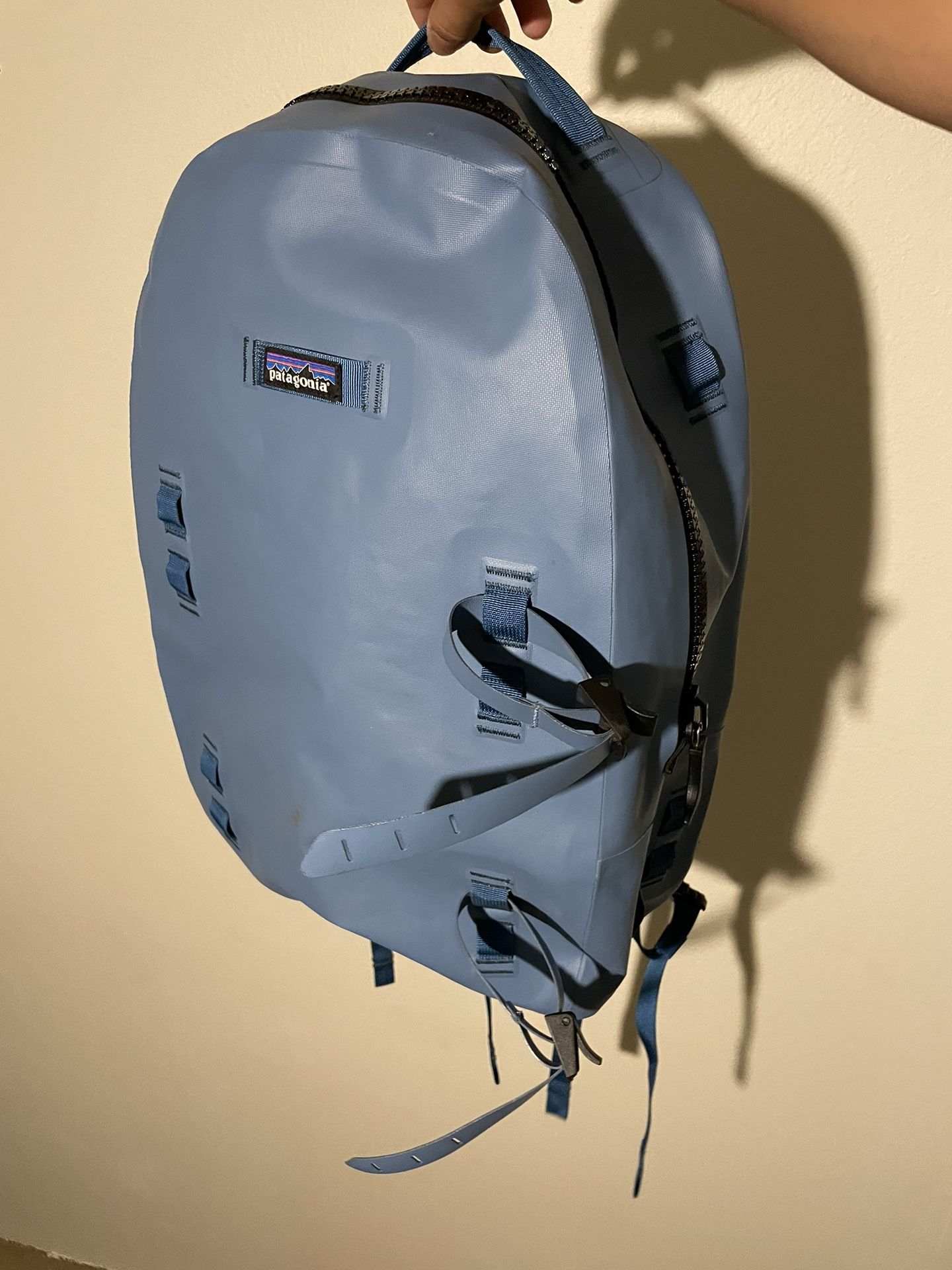 Patagonia Backpack