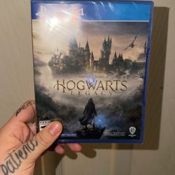 PS4 Hogwarts Game 