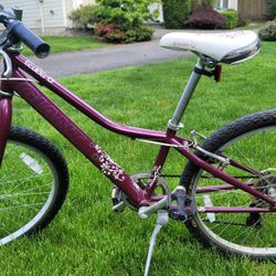 Girl's Giant Bike