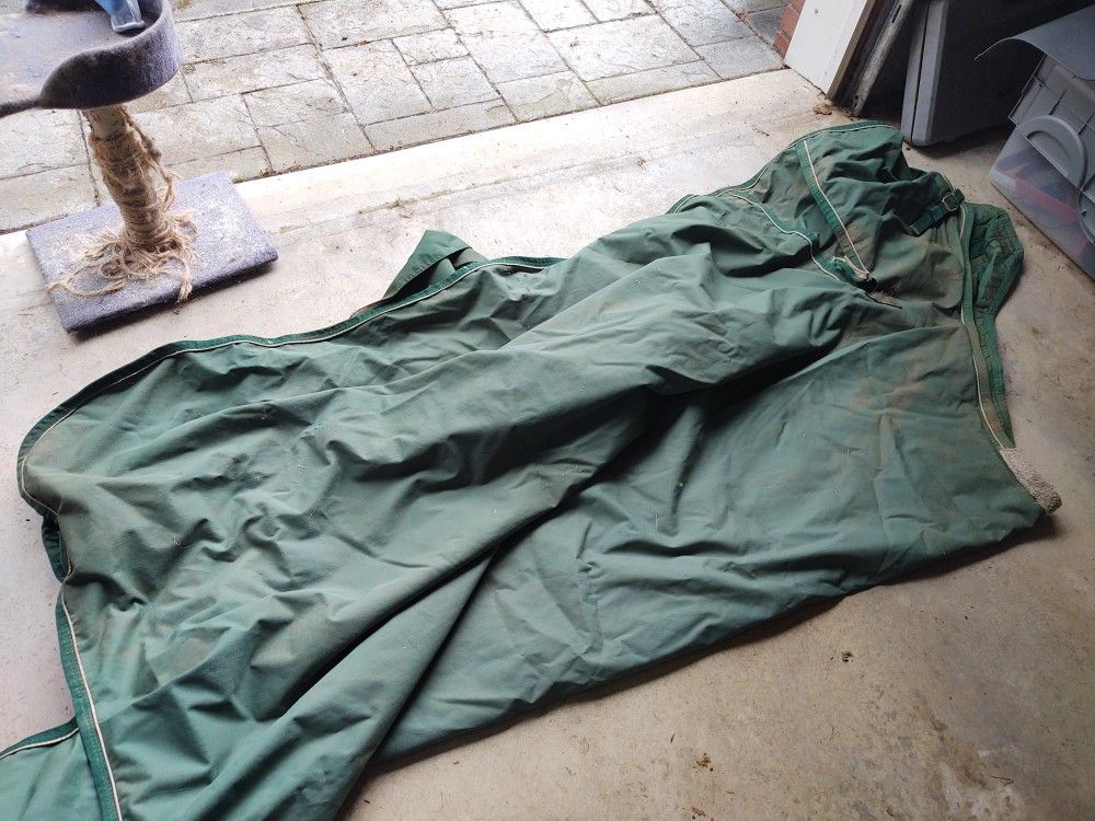 Horse Blanket
