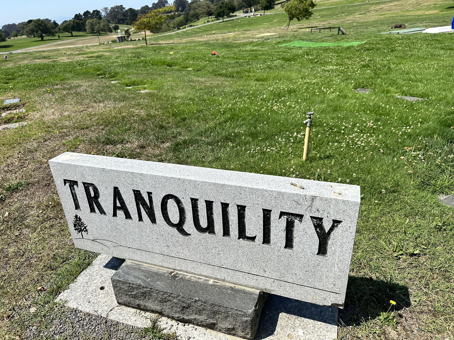 Burial Plot At Rolling Hills Cemetery