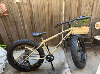 Thick Tires Dirt & Sand Bike