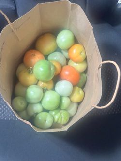 Fresh Organic Tomatoes