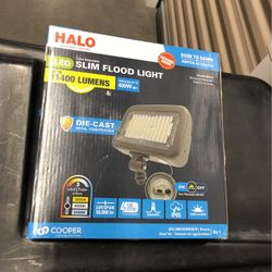 Flood Light