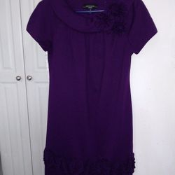 R&M  Richards  Purple Dress Size 6p