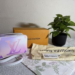Louis Vuitton Spring In The City Wapity Case Wristlet 
