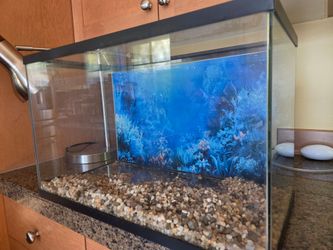 Aquarium fish tank 10 gallon
