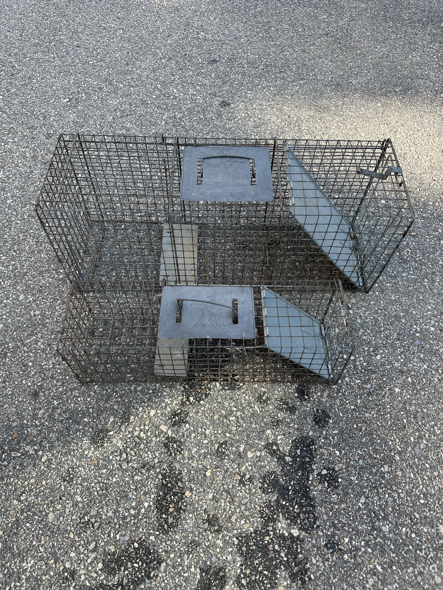 Advantek Animal Cage Trap w/Iron Door Steel
