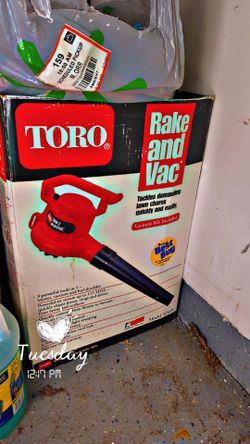 Leaf blower