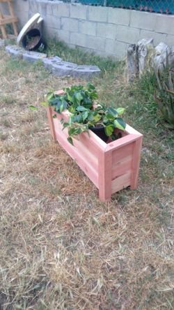 Plant Holder
