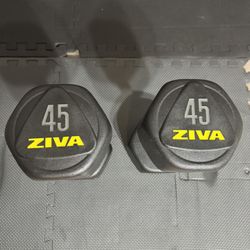 Olympic Dumbbells 💪