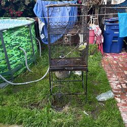 Parrot Bird Cage