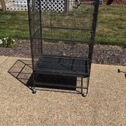 Bird Cage