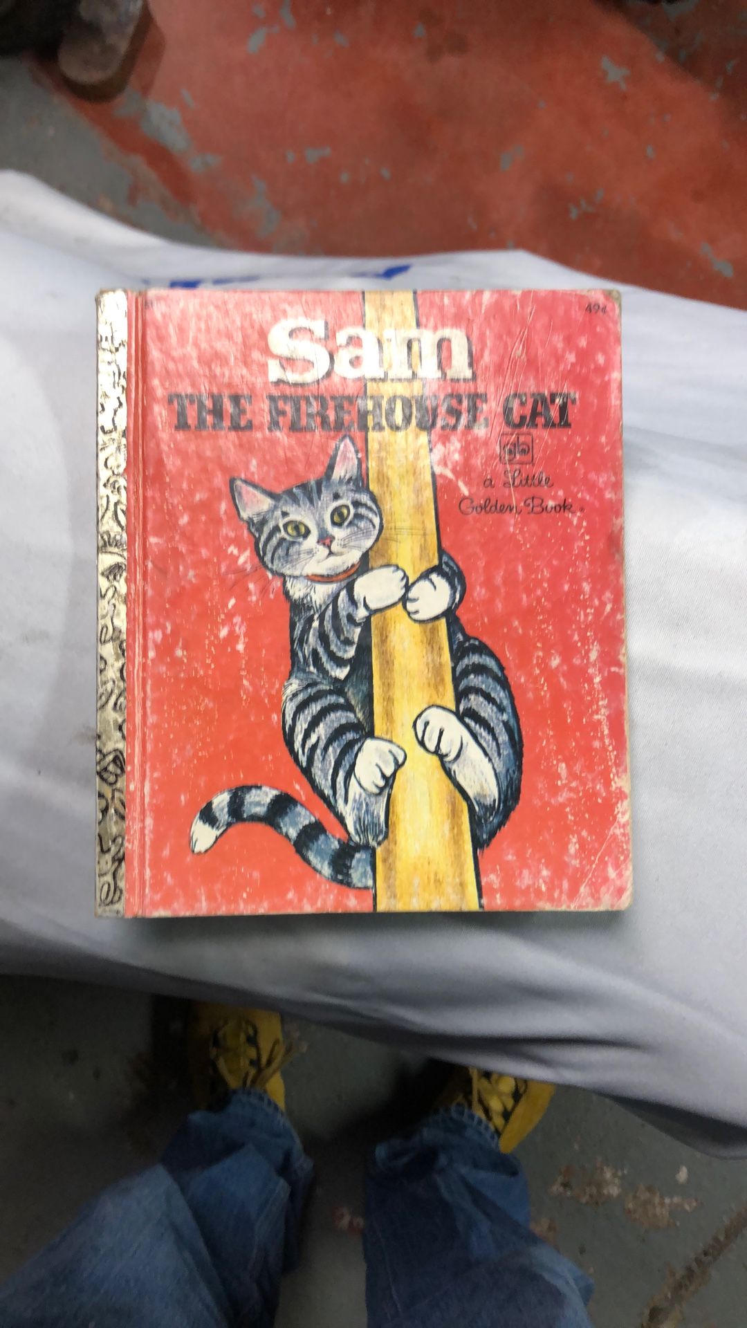 sam the firehouse cat