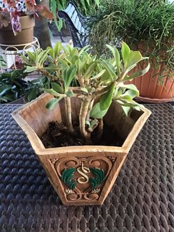 Vintage Planter w/Succulent