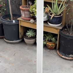 Detecto Physician’s Scale