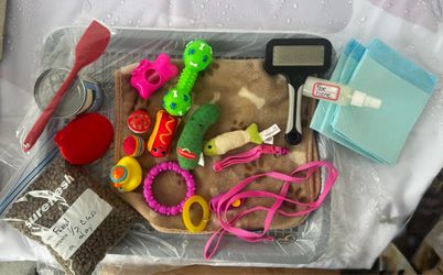 Complete Puppy Starter Kit Bundle