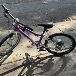 Woom 4 (Purple)