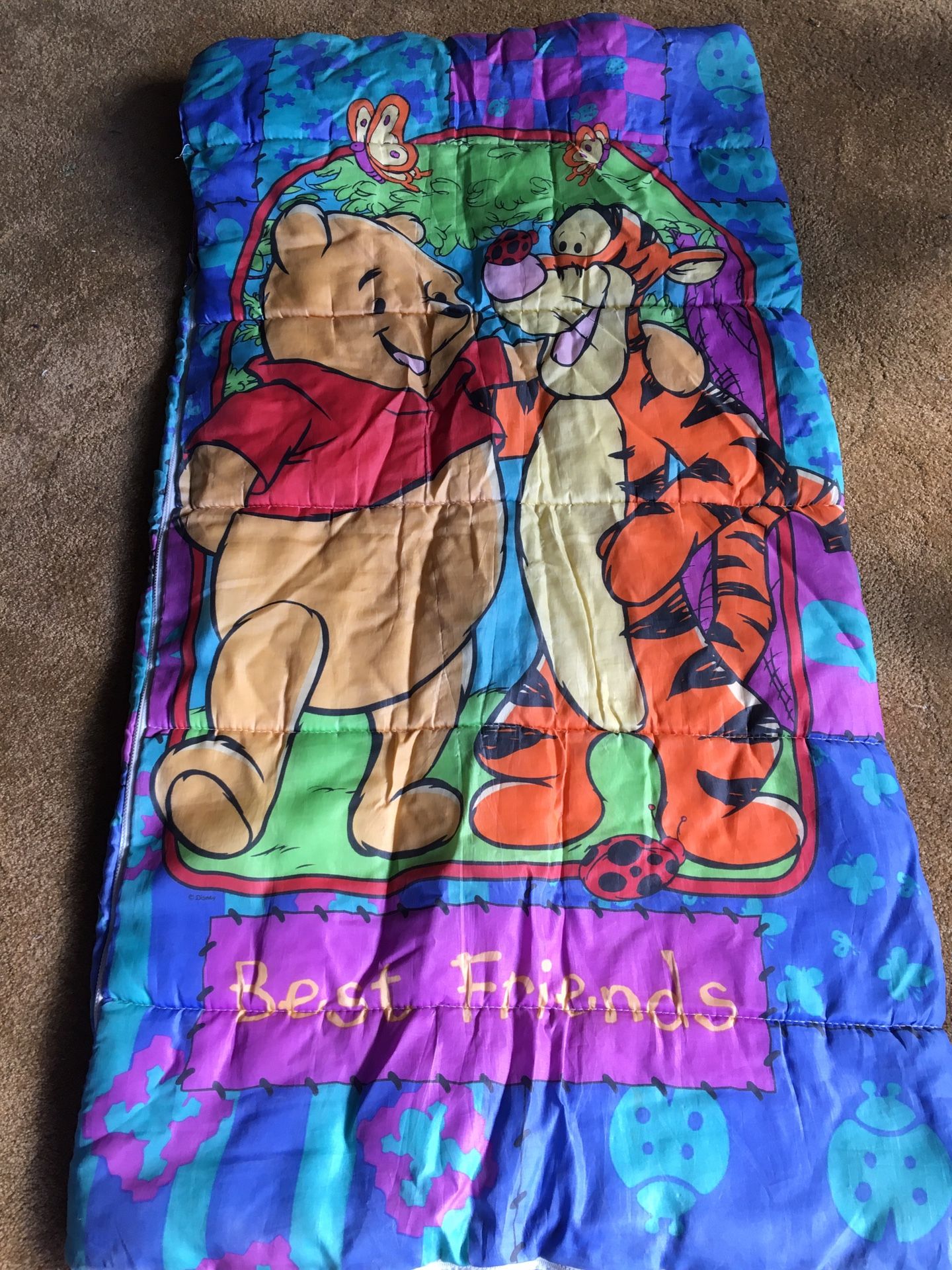 kids sleeping bags - 2 left