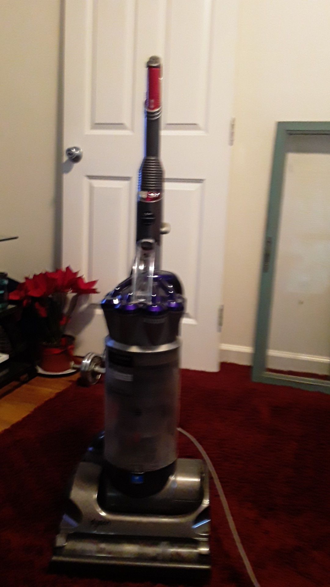 Dyson absolute DC animal Dc