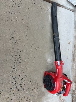 Homelite blower
