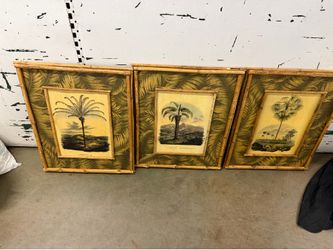 Paintings