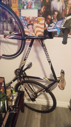 Takara kabuto 29inch single speed