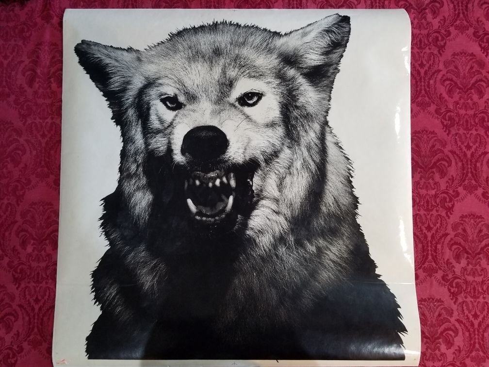 ☡ROCKFORD FOSGATE ☡WOLF DECAL