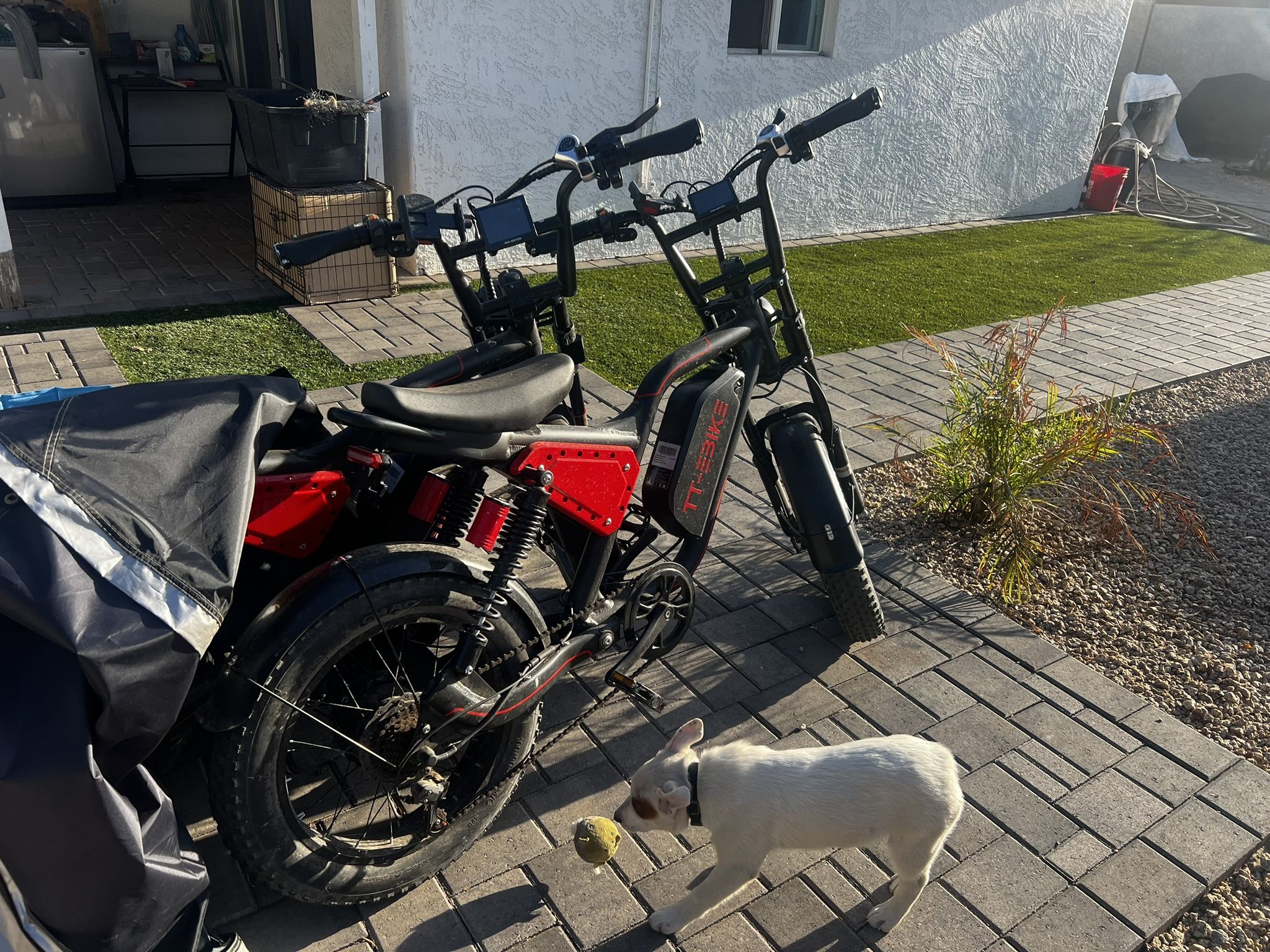 2000w Dual Motor Ebike / Bike Rack