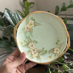 Antique MZ Austria Gardenia Porcelain Plate Circa 1800’s