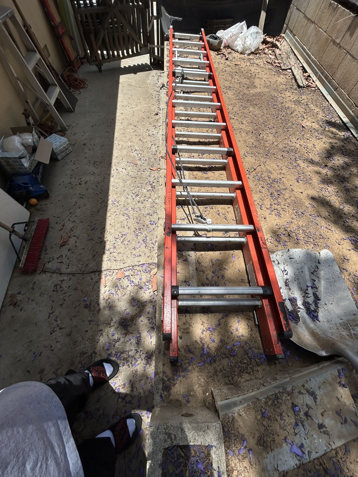 Werner Professional Ladder