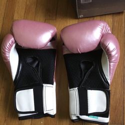 Boxing Everlast Gloves