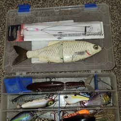Hard Bait Lot