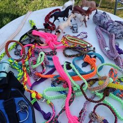 Collares Para Los 🐩 Perritos Al $10 Los Grande Y Al $5.00 Los Chicos