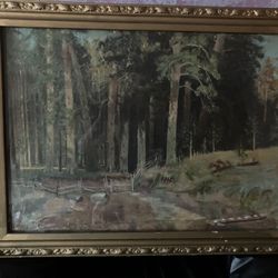 Oil Copy Pain Wood By Famous Mr. Shishkin.