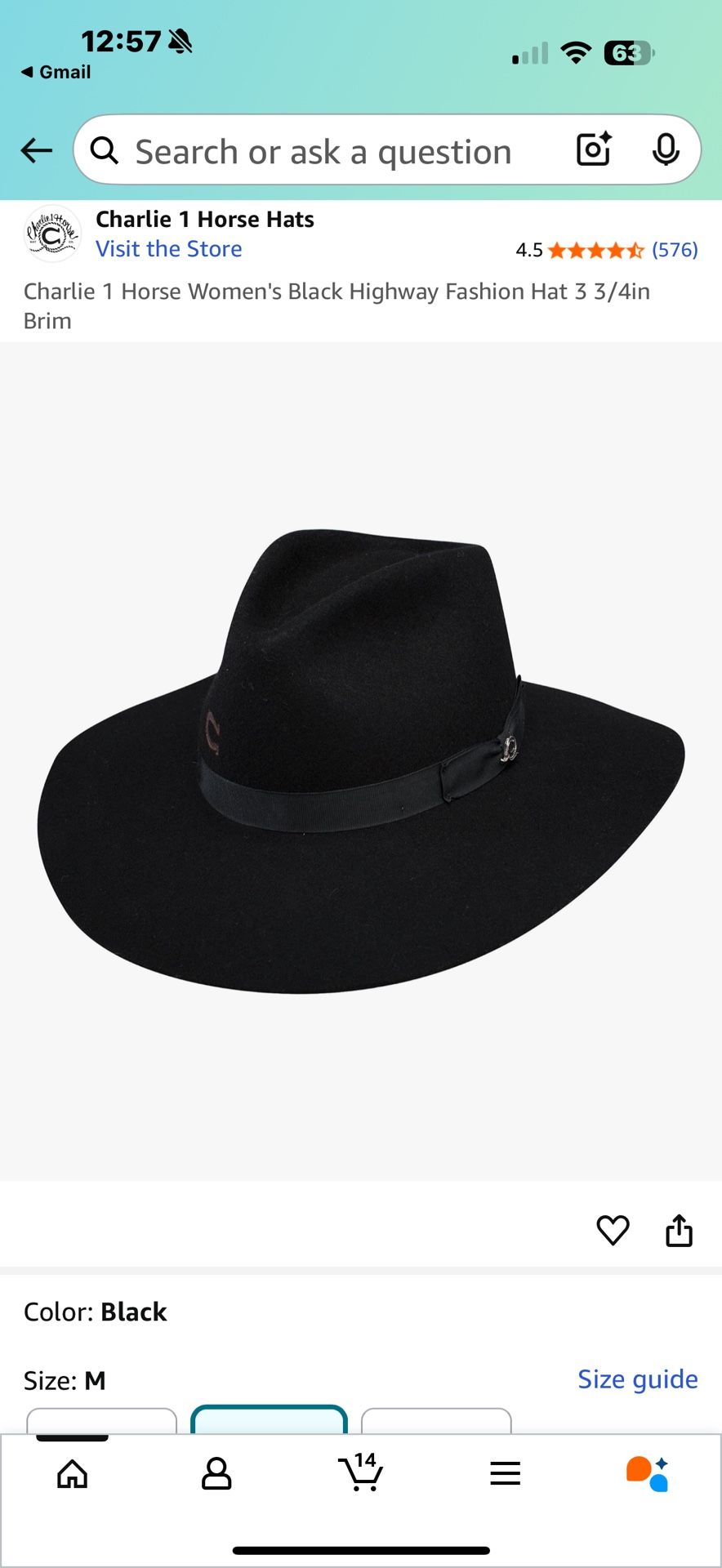 Black Charlie hat size M,All Products : American Fashion Style Bags On Sale