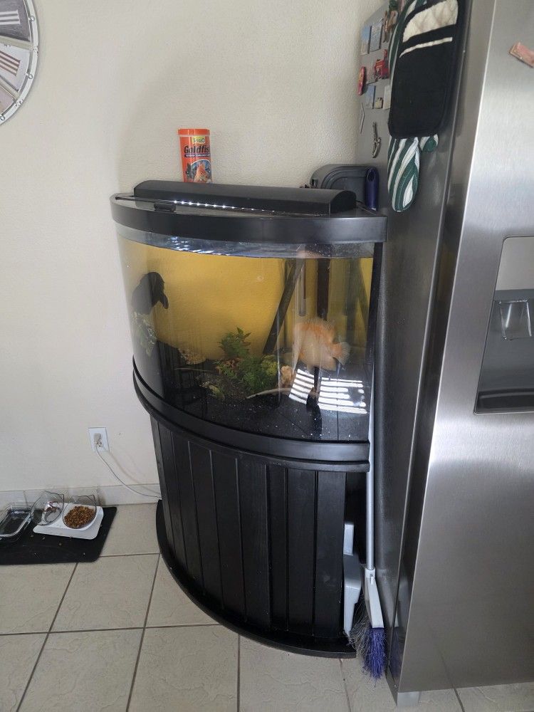 Fish Tank Fresh Water.