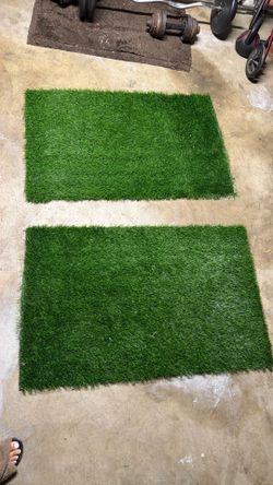 2 Dog grass 27x43sz