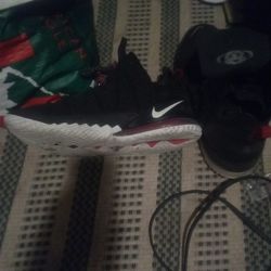 LeBron James Size 14