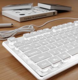 SEUNKWANG Wired Keyboard With White Backlight