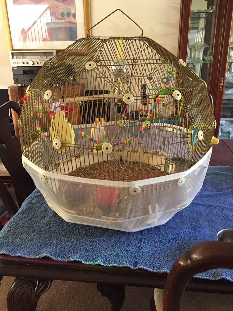 Large Bird Cage With Toys