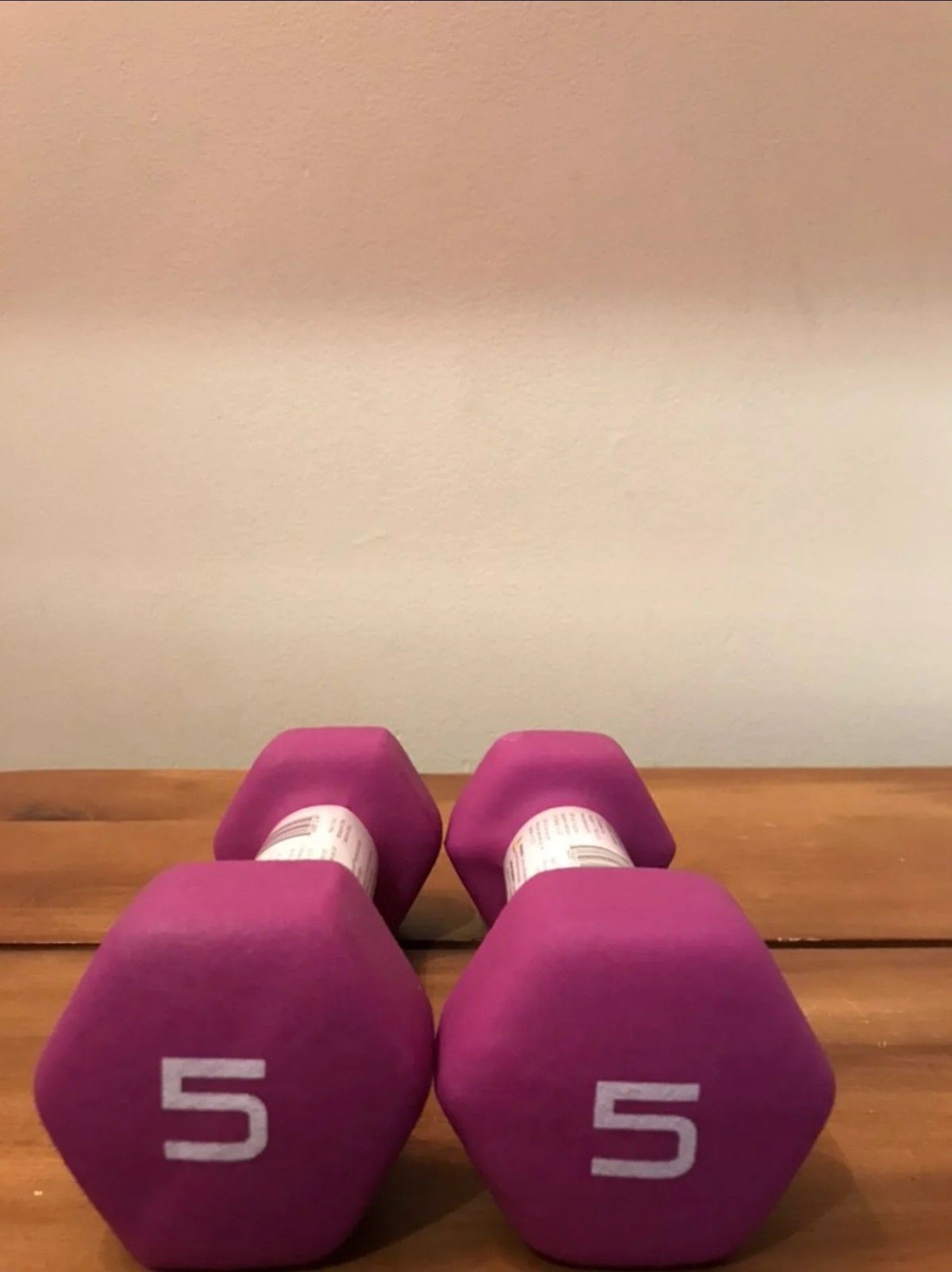Lot Of 2 CAP Hex Neoprene 5 lb Pound Dumbbell Weights NEW Total 10 Lbs