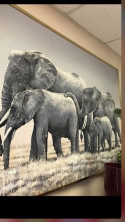 Elef picture frame 40x60