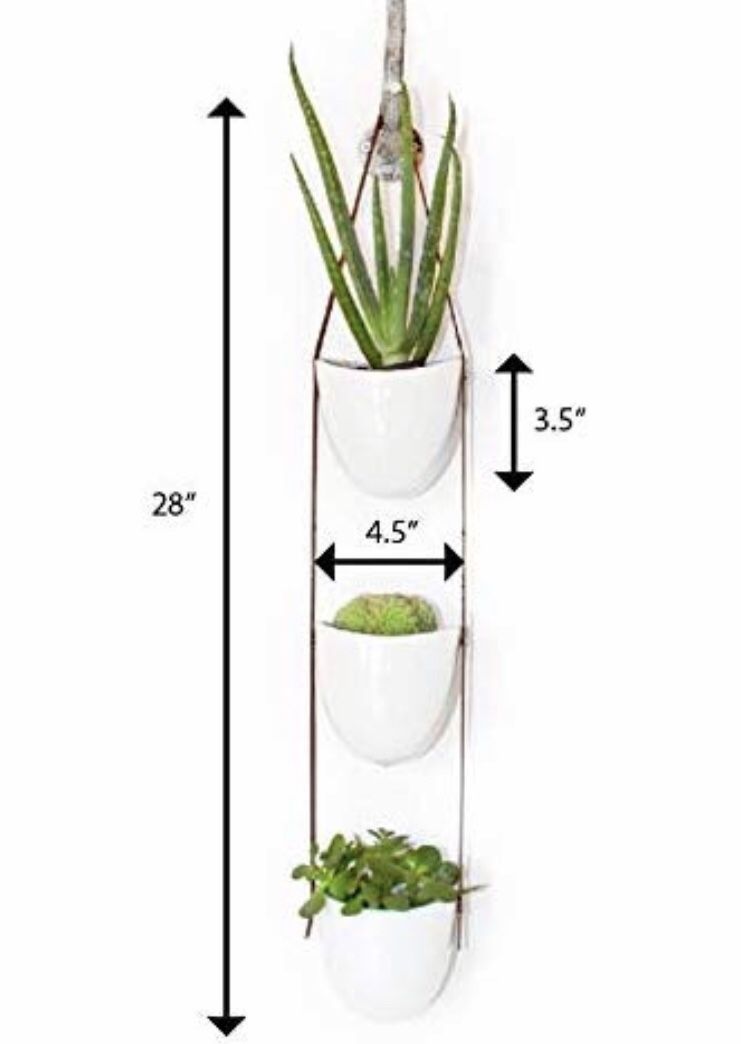 Hanging planter succulent cactus flower pots