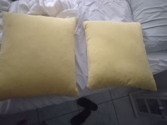 Cushion Pillows