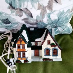 Holiday light Up House 