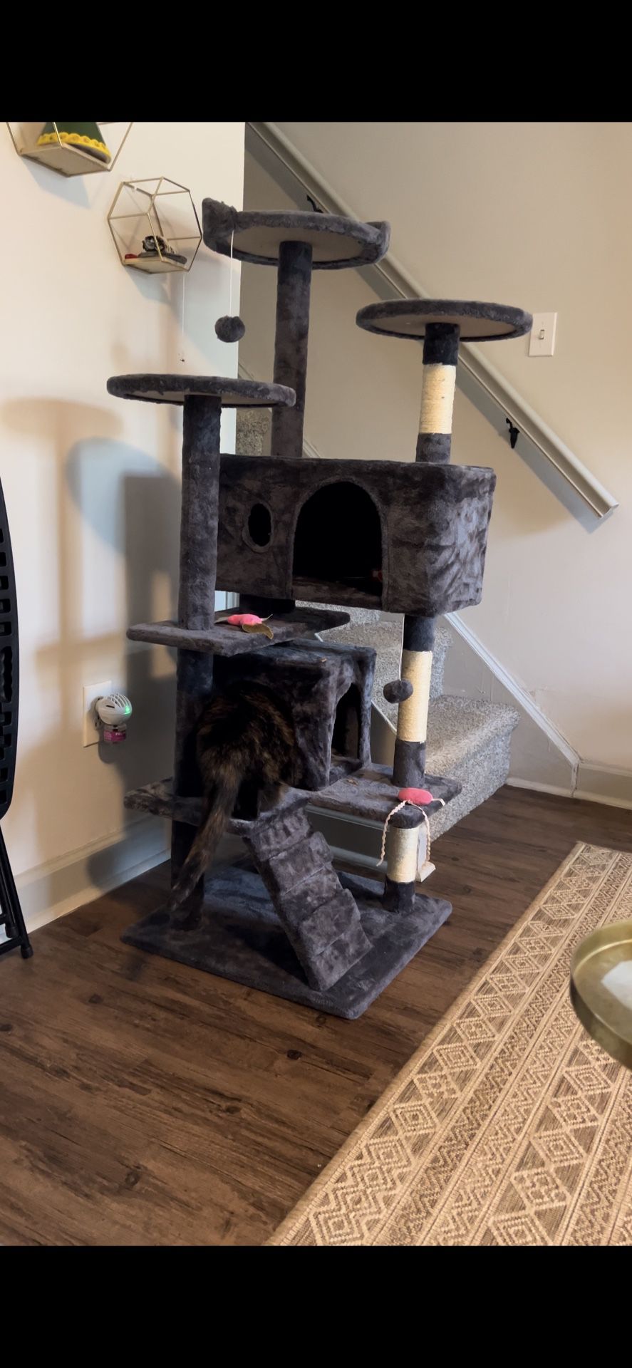 Brand New Cat Tower