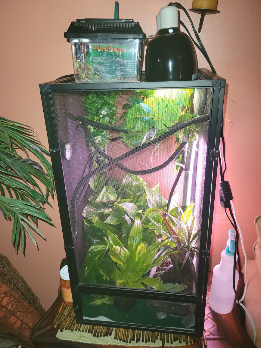 Chameleon Cage With Everything 